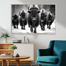 American Bison Art | Buffalo Herd Wall Art Canvas Print, BW