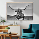 Texas Longhorn Cow Wall Art, Texas Longhorn Canvas, Cattle