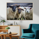 Charming Sheep Portrait Wall Art – Trio of Woolly Companions by MyGreatCanvas | Canvas Wall Art Prints | Photo Prints & Wall Decor