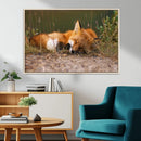 Sleeping Fox Wall Art Canvas Print, Farmhouse Wall Decor and