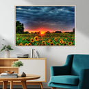 Golden Sunflower Field at Sunset – Breathtaking Sky and