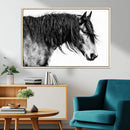 Majestic Horse Wall Art – Framed Black White Portrait Canvas by MyGreatCanvas | Canvas Wall Art Prints | Photo Prints & Wall Decor