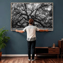 Black and White Old Angel Oak Tree Wall Art Canvas Print