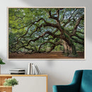 Historic Tree Wall Art – Framed Mossy Branch Canvas Artwork, by MyGreatCanvas | Canvas Wall Art Prints | Photo Prints & Wall Decor