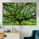 Ancient Tree Wall Art Canvas Print, Framed Sprawling by MyGreatCanvas | Canvas Wall Art Prints | Photo Prints & Wall Decor