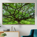 Angel Oak Tree Wall Art Canvas Print – Framed Majestic