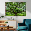 Oak Tree Wall Art Print, Forest Canvas Wall Art for Home and by MyGreatCanvas | Canvas Wall Art Prints | Photo Prints & Wall Decor