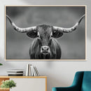 Texas Longhorn Wall Art Canvas Print – Framed Western Bull