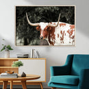 Texas Longhorn Wall Art Canvas Print – Framed Spotted Bull