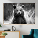 Grizzly Bear Wall Art Canvas Print – Framed Black White