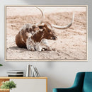 Texas Longhorn Wall Art Canvas Print – Framed Resting Bull by MyGreatCanvas | Canvas Wall Art Prints | Photo Prints & Wall Decor
