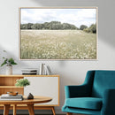 Charming Daisy Field Wall Art Canvas Print – Framed Pastel