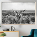 Monochrome Highland Cow Wall Art Canvas Print – Framed by MyGreatCanvas | Canvas Wall Art Prints | Photo Prints & Wall Decor