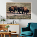 Bison Wall Art Canvas Print – Framed Western Wildlife Modern by MyGreatCanvas | Canvas Wall Art Prints | Photo Prints & Wall Decor