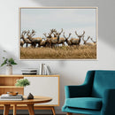 Elk Herd Wall Art Canvas Print – Framed Wildlife Photography by MyGreatCanvas | Canvas Wall Art Prints | Photo Prints & Wall Decor