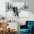 Moose Snow Wall Art Canvas Print – Framed Winter Wildlife