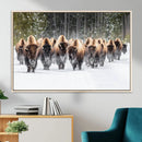 Bison Herd Scene Wall Art Canvas Print – Framed Western by MyGreatCanvas | Canvas Wall Art Prints | Photo Prints & Wall Decor