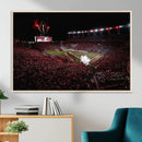 William Brice Stadium Wall Art Print – Baseball Game Room by MyGreatCanvas | Canvas Wall Art Prints | Photo Prints & Wall Decor