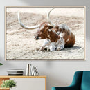 Majestic Longhorn Wall Art Canvas Print – Resting on Sunlit by MyGreatCanvas | Canvas Wall Art Prints | Photo Prints & Wall Decor