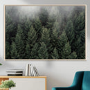 Dense Evergreen Forest Misty Morning Fog Pine Trees Woodland by MyGreatCanvas | Canvas Wall Art Prints | Photo Prints & Wall Decor