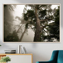 Misty Forest Tall Trees Foggy Atmosphere Nature Serenity by MyGreatCanvas | Canvas Wall Art Prints | Photo Prints & Wall Decor