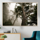Misty Forest Wall Art Canvas Print, Tall Trees and Foggy by MyGreatCanvas | Canvas Wall Art Prints | Photo Prints & Wall Decor