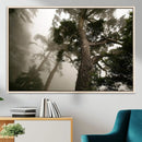 Misty Forest Canvas, Tall Trees Foggy Atmosphere Nature by MyGreatCanvas | Canvas Wall Art Prints | Photo Prints & Wall Decor