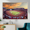 Dooley Stadium Wall Art, Sports Arena Canvas Print, Dooley by MyGreatCanvas | Canvas Wall Art Prints | Photo Prints & Wall Decor