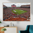 Jordan-Hare Stadium Wall Art Canvas Print, College Sports by MyGreatCanvas | Canvas Wall Art Prints | Photo Prints & Wall Decor