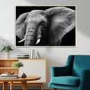 Big Elephant Close Up Wall Art Canvas Print