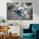 Blue Butterfly Black and White Canvas Wall Art by MyGreatCanvas | Canvas Wall Art Prints | Photo Prints & Wall Decor