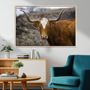 Texas Longhorn Canvas Wall Art - Longhorn Steer Canvas Wall by MyGreatCanvas | Canvas Wall Art Prints | Photo Prints & Wall Decor