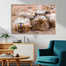 Lion Pair Wall Art Canvas Print – Framed Wildlife Scene with