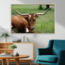 Longhorn Steer Canvas Wall Art – Rustic Nature Triptych