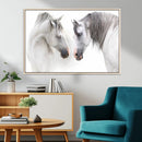 White Horse Wall Art Animal Canvas Print