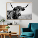 Texas Cow Longhorn Wall Art Canvas Print in Black and White