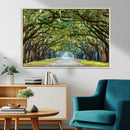 Wormsloe State Plantation Driveway Wall Art Canvas Print