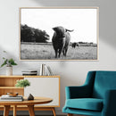 Black and White Highland Cow Wall Art Canvas Print | Rustic