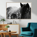 Black Horse in Snow Canvas Print | Winter Horse Wall Art |