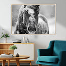 Black and White Horse Winter Wall Art | Ready to Hang and