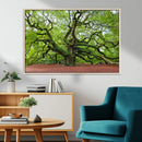 Framed Angel Oak Tree Wall Art - 3-Panel Canvas Prints,