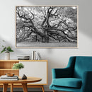 Black White Angel Oak Tree Wall Art - Timeless