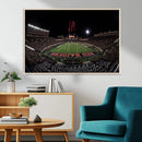 Framed Texas Tech Red Raiders Stadium Canvas, Texas Tech Red