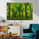 Lush Green Forest Canvas Print | 3-Panel Forest Wall Art |