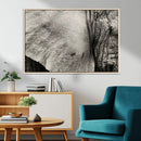 Elephant Wall Art Canvas Print