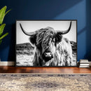 Black and White Scottish Cow Canvas Wall Art Highland Cattle