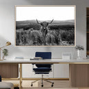 Black and White Highland Cow Canvas Wall Art, Longhorn by MyGreatCanvas | Canvas Wall Art Prints | Photo Prints & Wall Decor