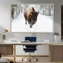 Bison Wall Art Canvas Print For Farmhouse, Animal Canvas
