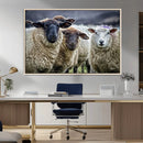 Charming Sheep Portrait Wall Art – Trio of Woolly Companions by MyGreatCanvas | Canvas Wall Art Prints | Photo Prints & Wall Decor