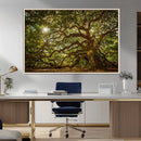 Ancient Angel Oak Tree Art Sunburst Canvas Print-